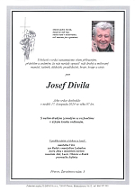 Josef Divila