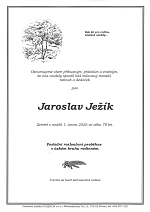 Jaroslav Ježík